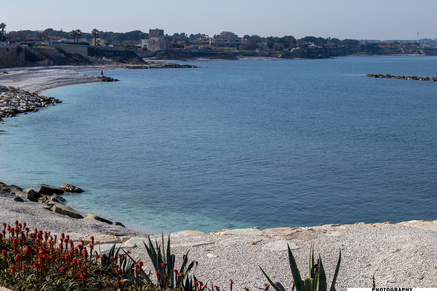 Mare
